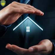 Левит, охранные системы фото