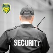 Левит, охранные системы фото