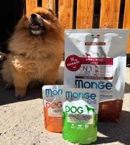 Зоомагазин Дарвін - darwin.kh.ua, зоомагазин фото