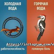 Eco su, служба доставки питьевой воды фото