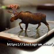 Pear Service, сервісний центр фото