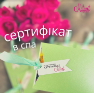 MAIAMI, СПА клуб фото