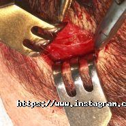 Кобяков Олександр Володимирович, щелепно-лицьовий хірург фото