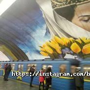 Бізон, спортивний клуб фото