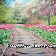 Ideas Garden, веб-студія фото