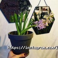 Lokos, кав'ярня-пекарня фото