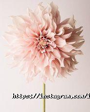 IBro, торгово-сервісний центр фото