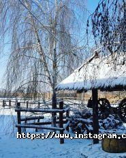 Ранчо дядюшки Бо, кінний клуб фото