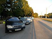 Lime Taxi, такси-сервис фото