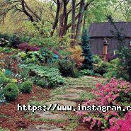 Ideas Garden, веб-студия фото