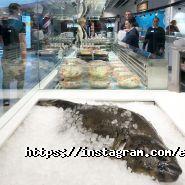 Egersund Seafood, магазин з продажу риби фото