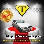 Такса таксі фото