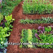 Ideas Garden, веб-студия фото