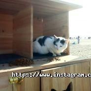 Водогрязелікарня, клінічний санаторій фото