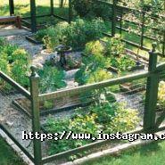 Ideas Garden, веб-студія фото