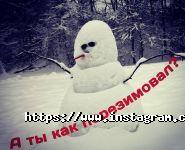 Екохіт, утеплення будинків і промоб'єктів фото