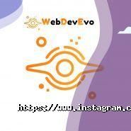 Web Dev Evo, розробка сайтів фото