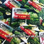 БЛОКПОСТ, пейнтбольный клуб фото