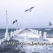 Укрглобал, агентство фото