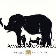 Unique Education, образовательный центр фото