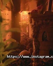 VenStop PRO, рекламное медиа агентство фото