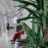 Усмішка, мережа стоматологій фото