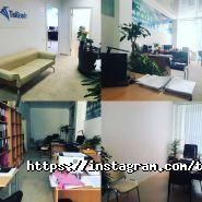 Твій Звіт, бухгалтерская компания фото