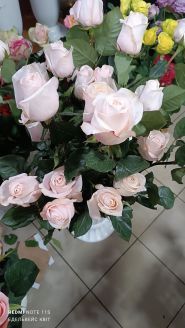 Едельвейс, квітковий магазин фото