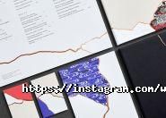 Web Solutions Factory, веб-студія фото