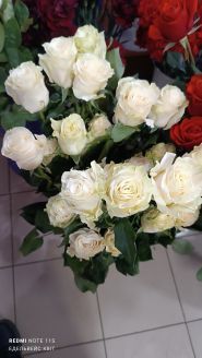 Едельвейс, квітковий магазин фото