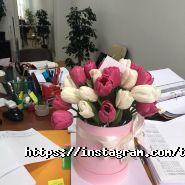 Твій Звіт, бухгалтерская компания фото