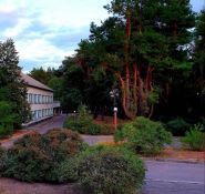 Дніпровські світанки, база відпочинку фото