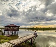 Лелеки, кінний двір фото