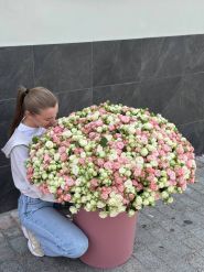 Wow Цветы by Kristina Shportun, цветы фото