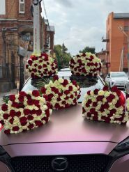 Wow Цветы by Kristina Shportun, цветы фото