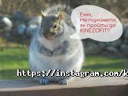 Kinezofit, медичний центр фото
