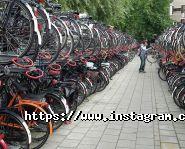 Пара коліс, велосипеди на прокат фото