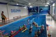 Dolphin, детский бассейн фото