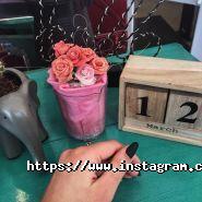 MiMi Coffee, кав'ярня фото