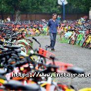 Пара коліс, велосипеди на прокат фото