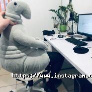 Webakula, разработка и создание сайтов фото