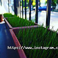 Day and night, хостел фото