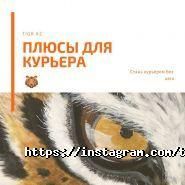 Тигр, курьерская служба экспресс-доставки фото