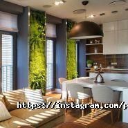 Paradise, лабораторія світла фото