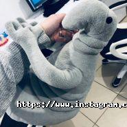 Webakula, разработка и создание сайтов фото