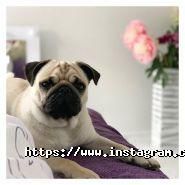 Alade Studio, салон краси фото