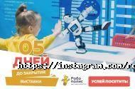 Робополис, компания по организации выставок робототехники фото