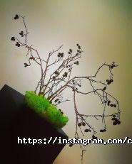 Coral Studio, студія акваріумного дизайну фото