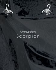 Скорпіон, автомийка фото