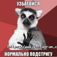 Escobarberia, провулок укарня фото